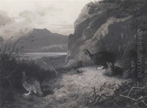 Grouse In A Highland Landscape Oil Painting by Archibald Thorburn