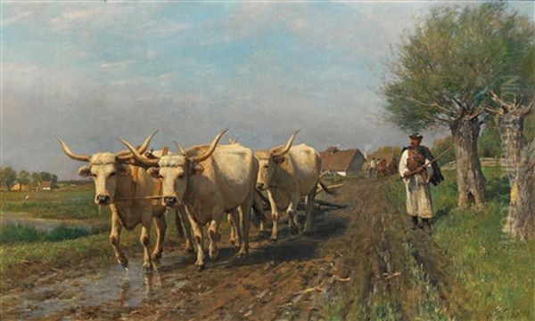 Hungarian Farmer With Steppe Cattle Oil Painting by Otto von Thoren