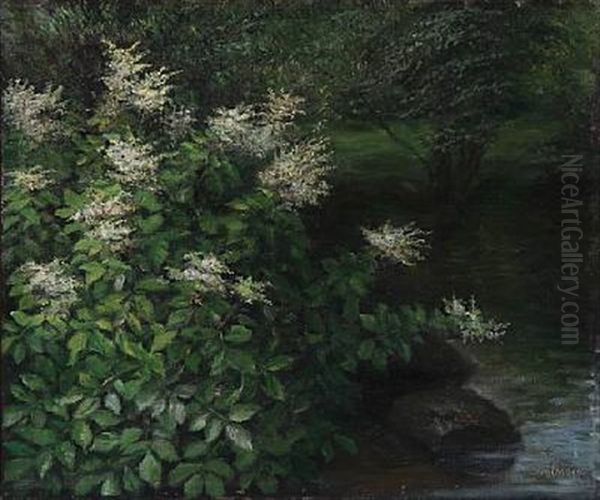 A Plume Bush At A Small Lake Oil Painting by Emmy Thornam