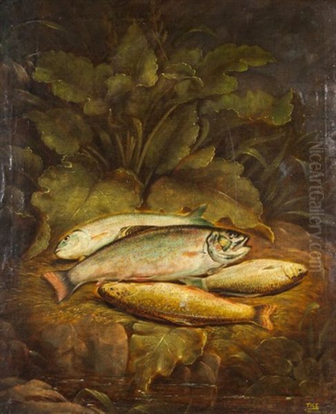 Trout On The Bank Oil Painting by Charles Tice