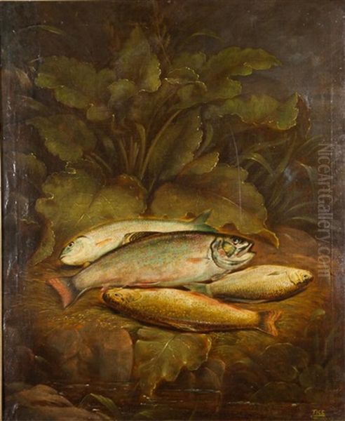 Brook Trout On The Bank by Charles Tice