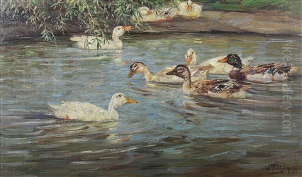 Enten An Einem Gewasser Oil Painting by Willy Tiedjen