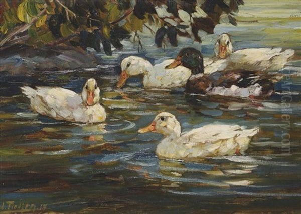 Enten Auf Dem Wasser Oil Painting by Willy Tiedjen