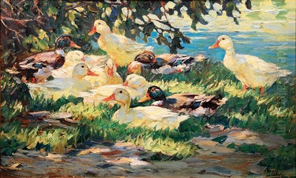 Resting Ducks Oil Painting by Willy Tiedjen