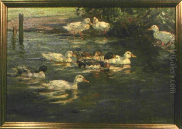 Enten Auf Einem Teich Oil Painting by Willy Tietjen