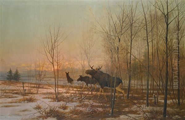 Elk In A Forest Oil Painting by Efim A. Tikhmenev