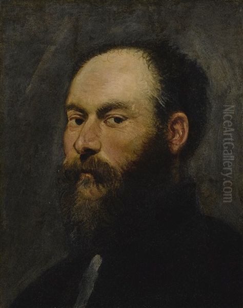 Portrait Of A Man Oil Painting by  Tintoretto