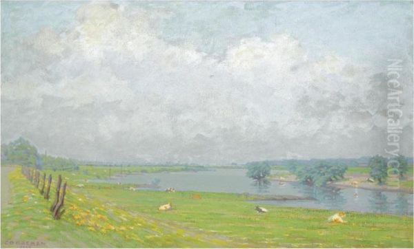 A View Of The River Ijssel Oil Painting by Co Breman