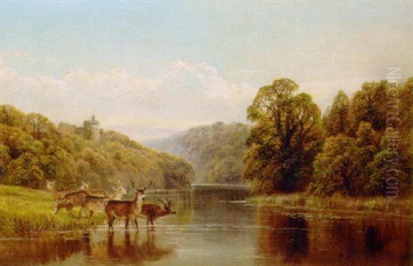 Tortworth Lake, Gloucestershire Oil Painting by William Vivian Tippet