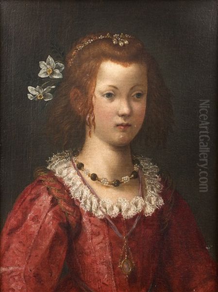 Jeune Fille A La Robe Rose Oil Painting by Santi Di Tito