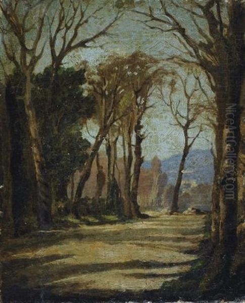 Firenze, Viale Delle Cascine Oil Painting by Serafino de Tivoli