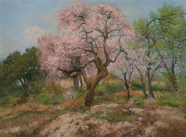 Almendros En Flor by Aurelio Tolosa Alsina