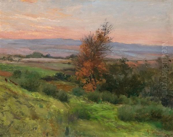 Paisaje Oil Painting by Aurelio Tolosa Alsina