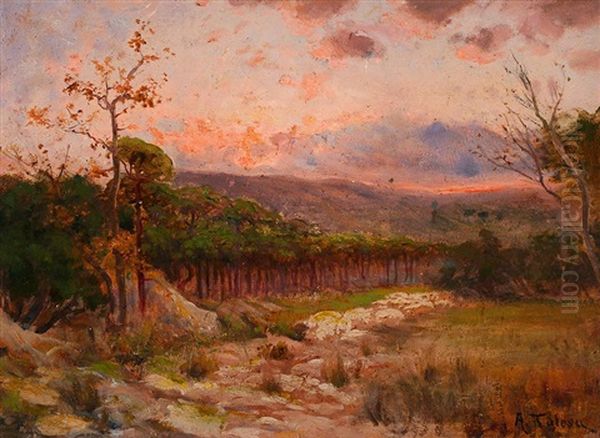 Paisaje Oil Painting by Aurelio Tolosa Alsina