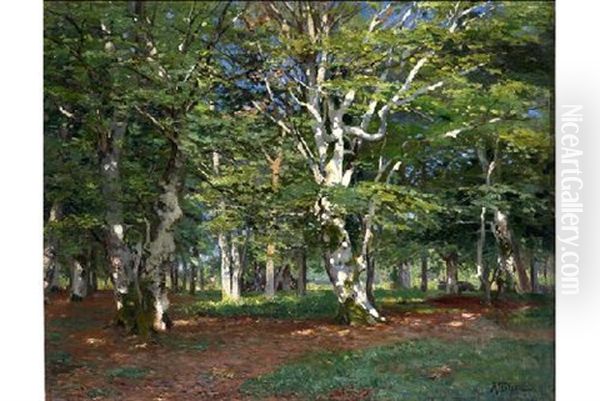 Bosque Soleado Oil Painting by Aurelio Tolosa Alsina