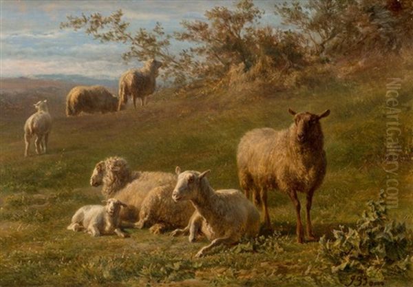 Sheep Resting In A Landscape Oil Painting by Jan Bedijs Tom