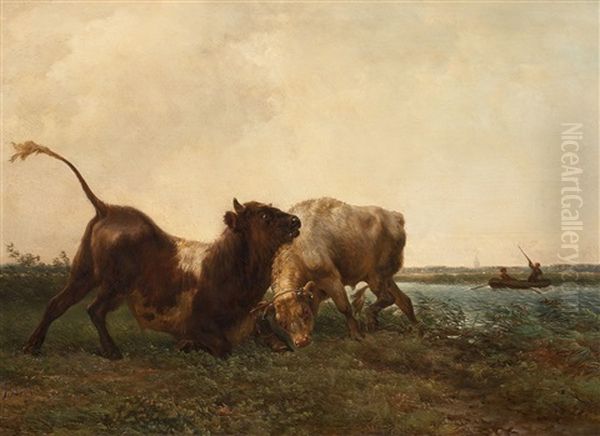 Fighting Bulls Oil Painting by Jan Bedijs Tom