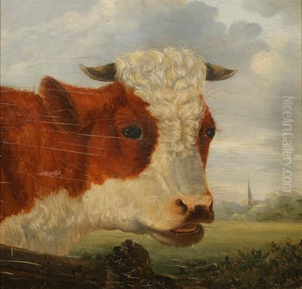 Kop Van Een Stier Oil Painting by Jan Bedijs Tom