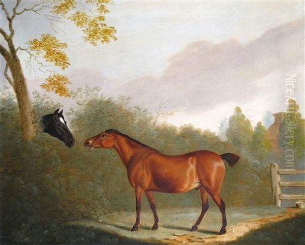 Bay Hunter And Neighbour Oil Painting by Clifton Tomson