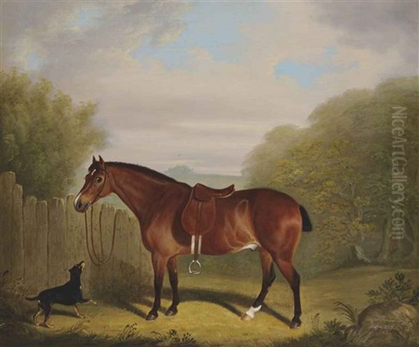 A Favourite Chestnut Hunter Oil Painting by Clifton Tomson