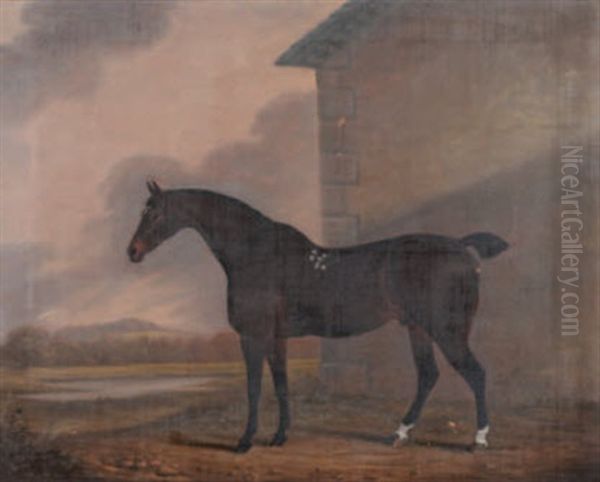 A Dark Bay Hunter Outside A Stable Block by Clifton Tomson