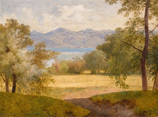 Vue Du Lac D'annecy Oil Painting by Wolfgang Adam Toepffer