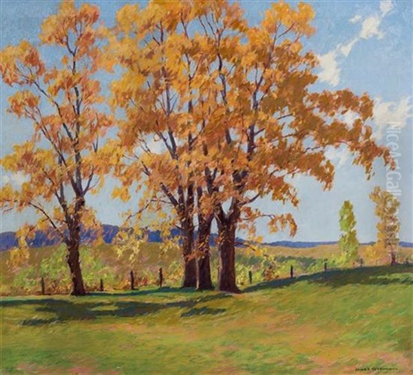 Autumn Sunlight Oil Painting by James Topping