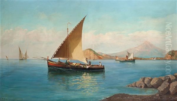 Marina Con Pescatori E Il Vesuvio Sullo Sfondo Oil Painting by Francesco Saverio Torcia