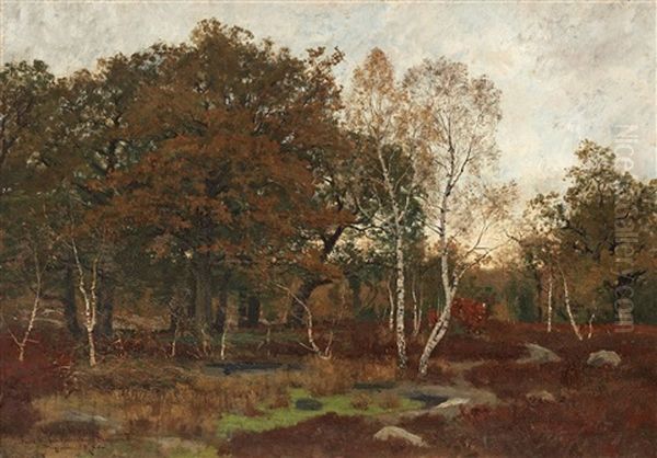 Foret De Fontainebleau Mare-aux-fees Oil Painting by Oscar Toerna