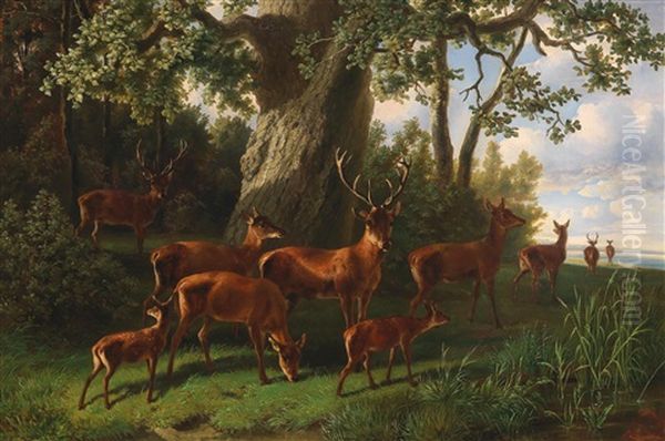 Pack Of Red Deer By A Woodland Edge Oil Painting by Karl Wilhelm Tornau