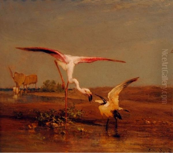 Flamant Et Ibis Oil Painting by Charles Emile de Tournemine