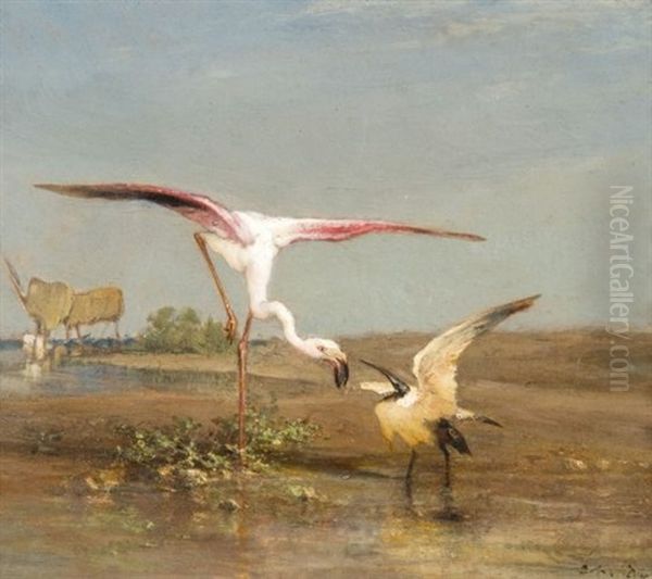 Flamant Et Ibis Oil Painting by Charles Emile de Tournemine