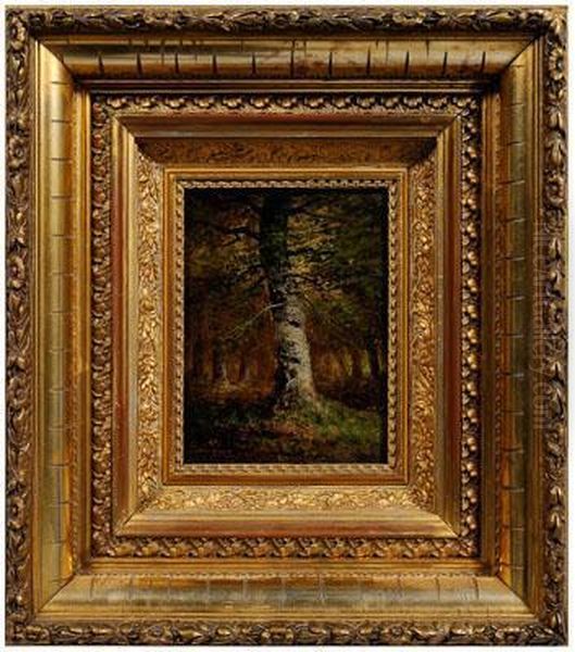 Woodland Birch Tree Oil Painting by Carl Christian Brenner