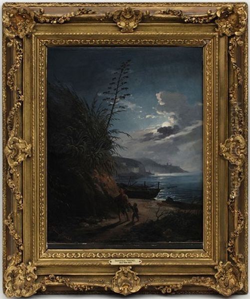 Scene Au Clair De Lune Dans Un Paysage Nicois by Dominique Trachel