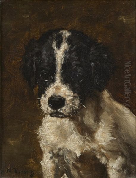 A Spaniel Puppy Oil Painting by John Martin Tracy