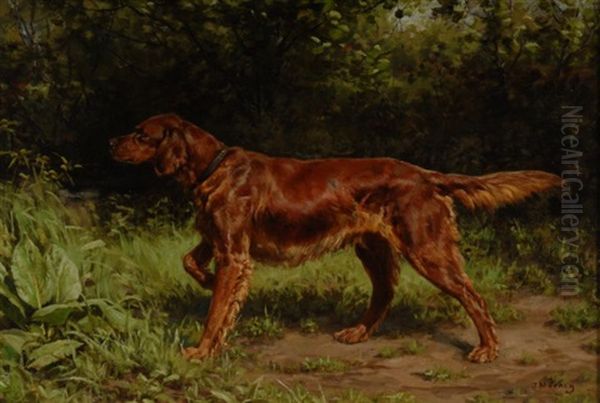 Irish Setter On Point Oil Painting by John Martin Tracy