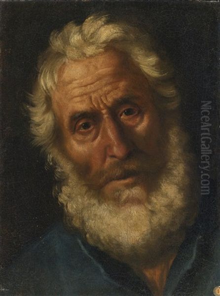 Head Of A Philosopher Oil Painting by Gaspare Traversi