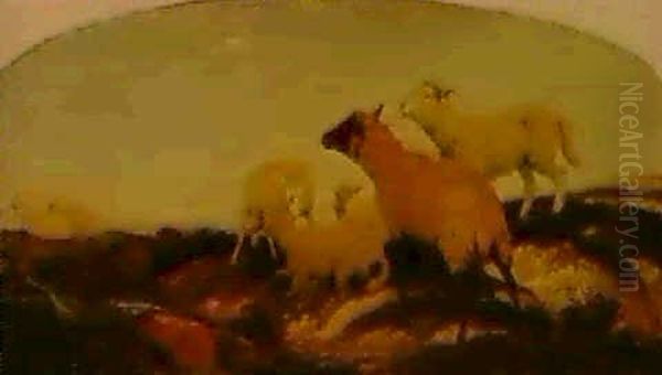 Sheep And Lambs Oil Painting by Henry C. Trery