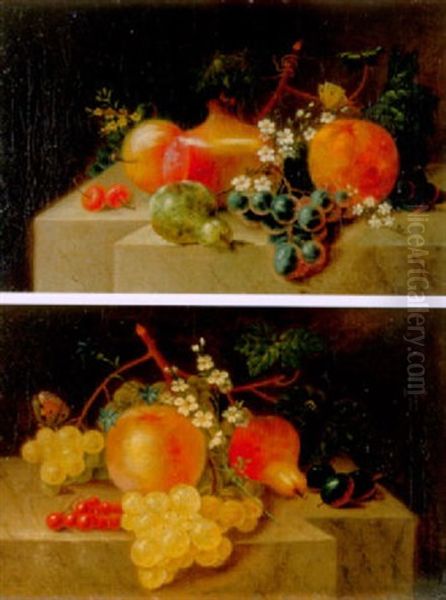 Stilleben Mit Fruchten, Blumen Und Schmetterling Oil Painting by Catharina Treu