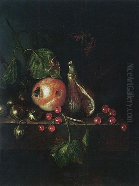 Still Life Of A Fig, A Plum, Gooseberries And Redcurrants, Together With A Fly And A Tortoiseshell Butterfly, Upon A Stone Ledge Oil Painting by Catharina Treu