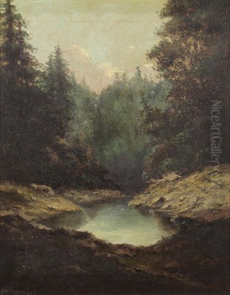 Hidden In The Woods Oil Painting by Richard de Treville