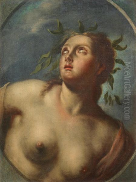 Daphne Oil Painting by Francesco Trevisani