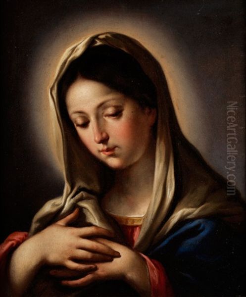 Madonnenbildnis Oil Painting by Francesco Trevisani