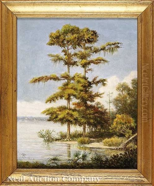 Batture Cypress Trees (algiers, Louisiana?) Oil Painting by Philippe Regis de Trobriand