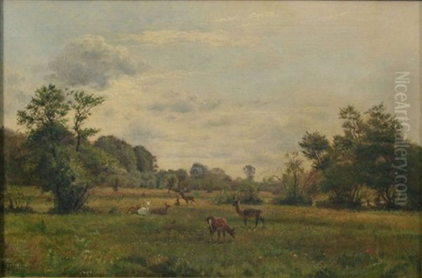 Paysage Anime D'une Harde De Cerfs Et De Biches Oil Painting by Harald Trolle