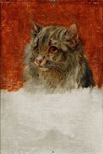 A Cat Oil Painting by William Henry Hamilton Trood