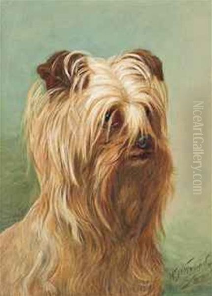 A Yorkshire Terrier Oil Painting by William Henry Hamilton Trood