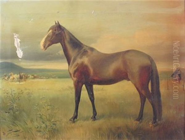 Portrait Of Pampa, Argentina Oil Painting by William Henry Hamilton Trood