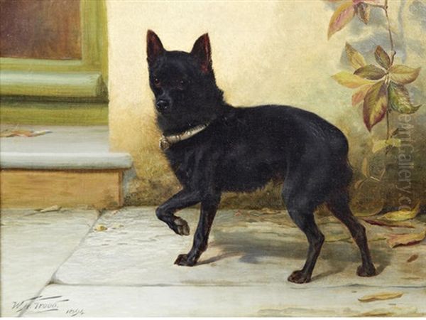 A Black Schipperke Oil Painting by William Henry Hamilton Trood