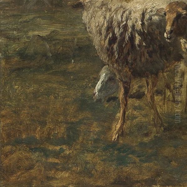 Le Troupeau De Moutons Oil Painting by Constant Troyon